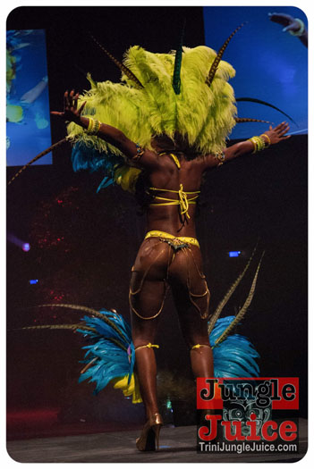 island_people_2014_band_launch-133