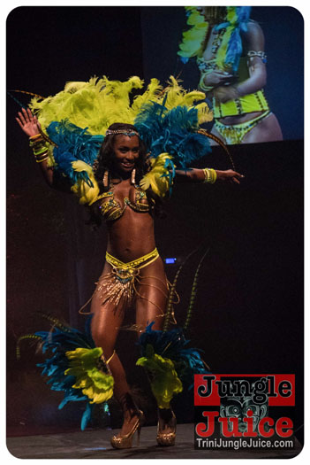 island_people_2014_band_launch-134