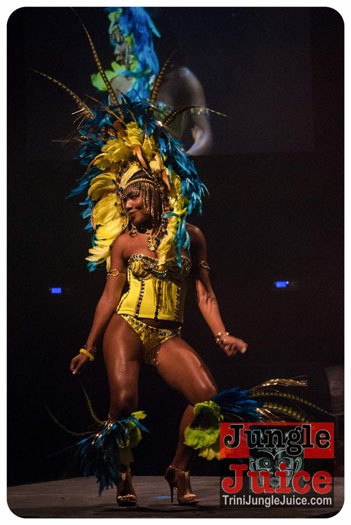 island_people_2014_band_launch-135