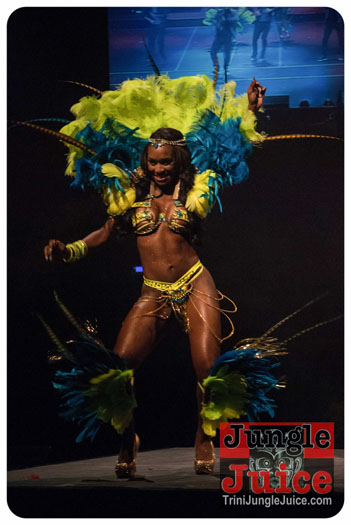 island_people_2014_band_launch-137