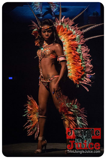 island_people_2014_band_launch-143