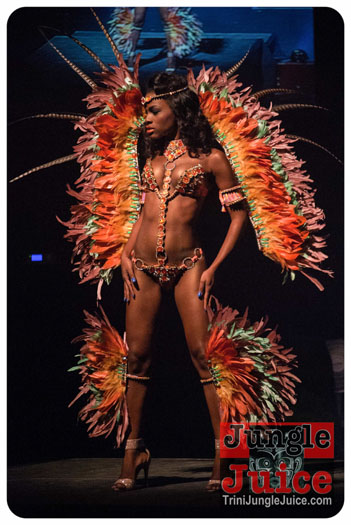 island_people_2014_band_launch-145