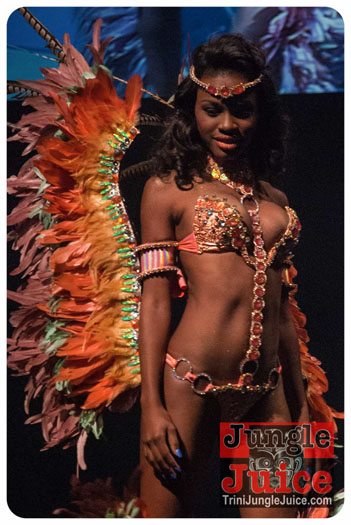 island_people_2014_band_launch-149