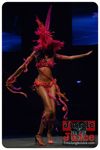 island_people_2014_band_launch-164