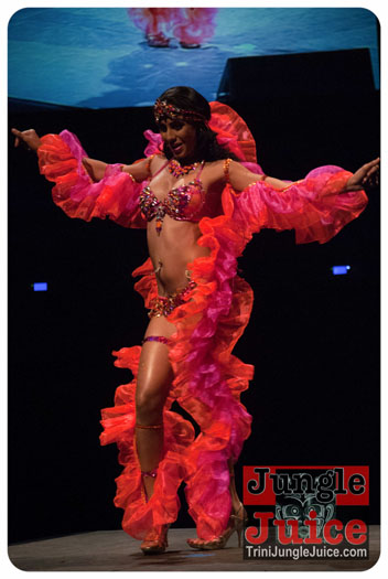 island_people_2014_band_launch-165