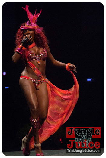 island_people_2014_band_launch-169