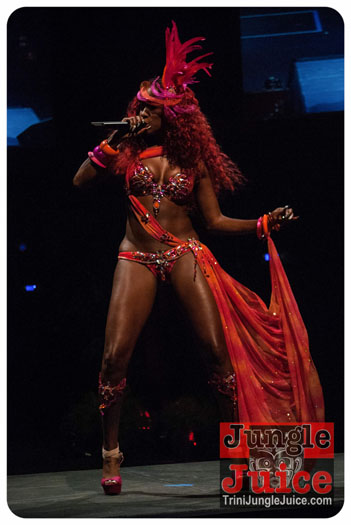 island_people_2014_band_launch-173