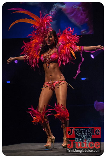 island_people_2014_band_launch-178