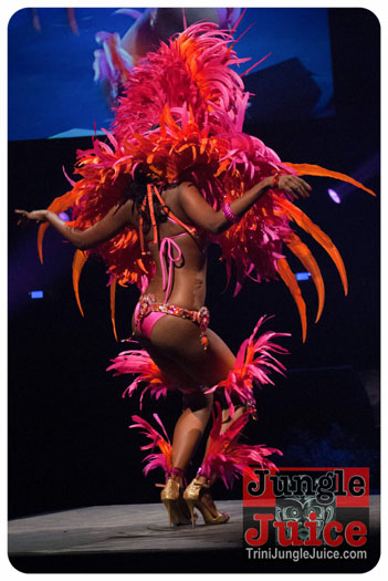 island_people_2014_band_launch-188