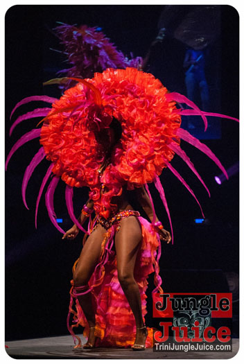 island_people_2014_band_launch-191