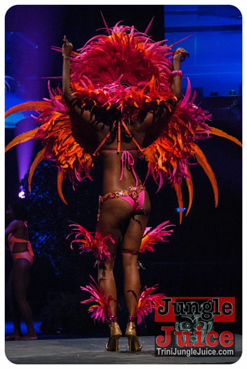 island_people_2014_band_launch-193