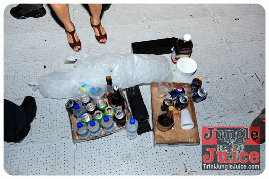 machelments_2013_pt1-051