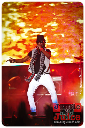 machelments_2013_pt2-021