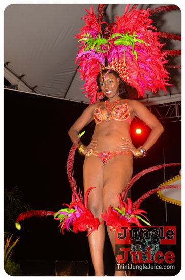 paparazzi_2014_band_launch-094