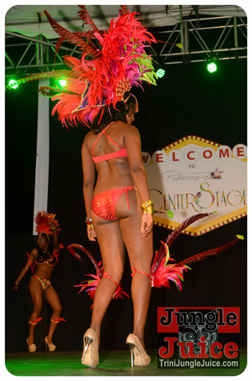 paparazzi_2014_band_launch-095