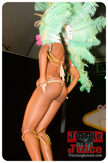 paparazzi_2014_band_launch-099