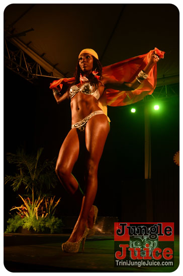 paparazzi_2014_band_launch-119