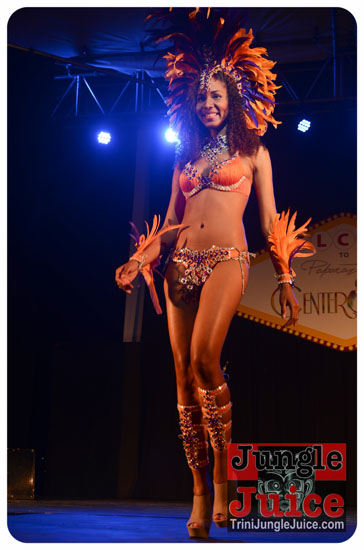 paparazzi_2014_band_launch-131