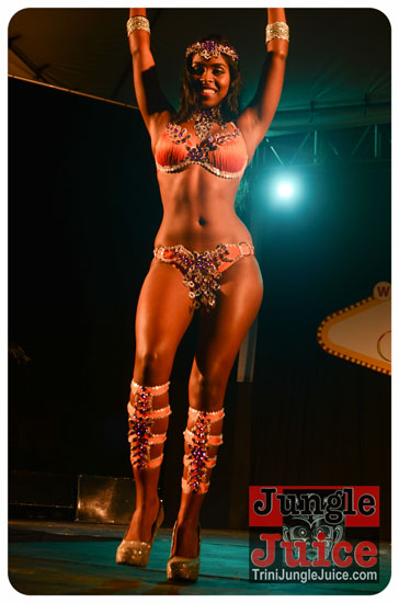 paparazzi_2014_band_launch-133