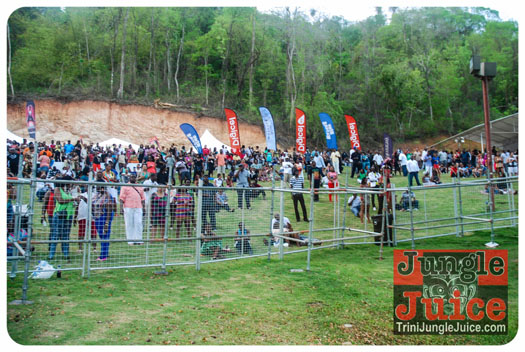 reggae_on_the_bay-022