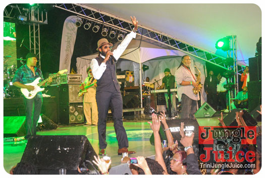 reggae_on_the_bay-119