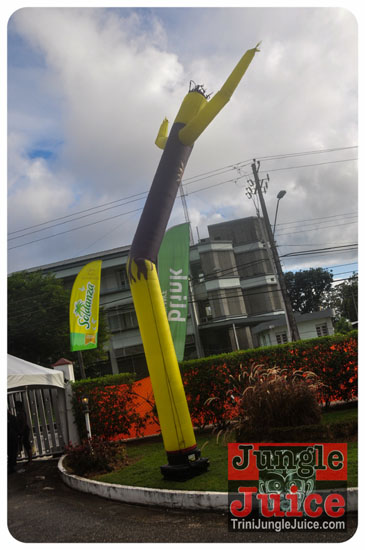 rhythms_of_carnival_2013-016