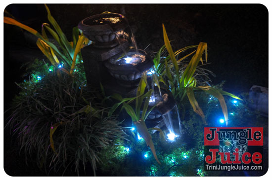 rhythms_of_carnival_2013-082