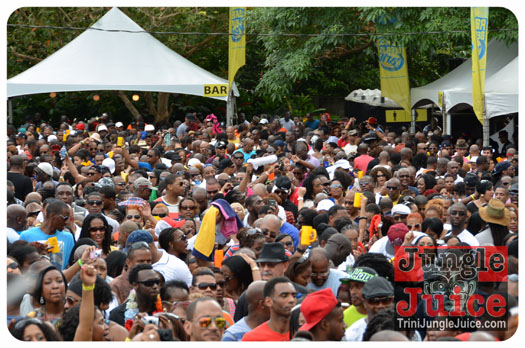 sunny_side_up_2013-005