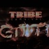 tribe_ignite_2013-126