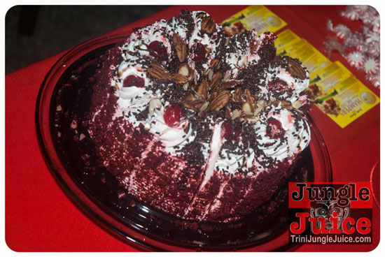 wicked_christmas_charity_party_dec27-020