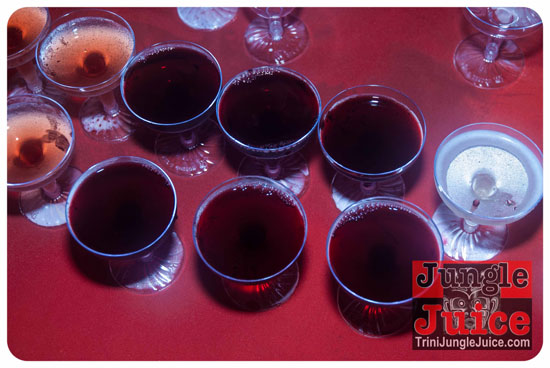 wicked_christmas_charity_party_dec27-032