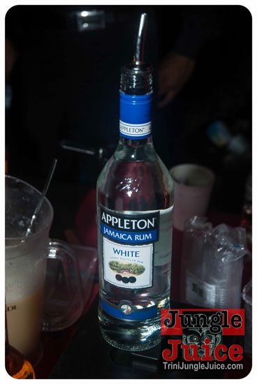 wicked_christmas_charity_party_dec27-038