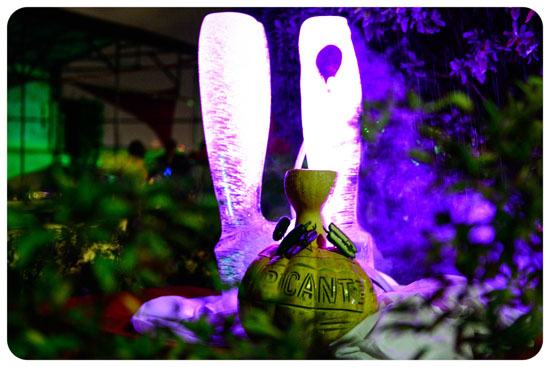 zante_picante_2013-061