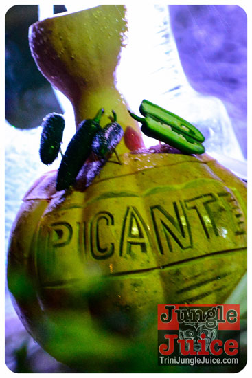 zante_picante_2013-062