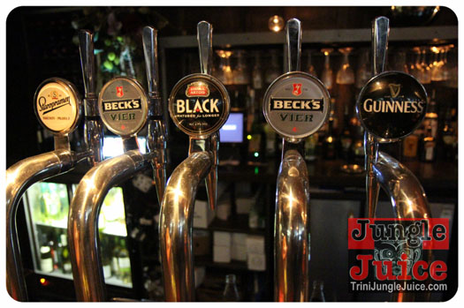 triniposseuk_band_launch_2013-096