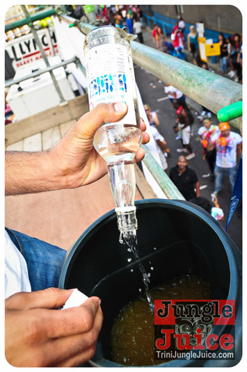 triniposseuk_colours_2013-092