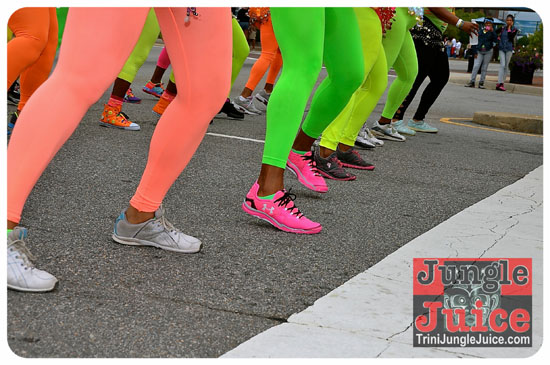 va_caribfest_parade_2013_pt1-020
