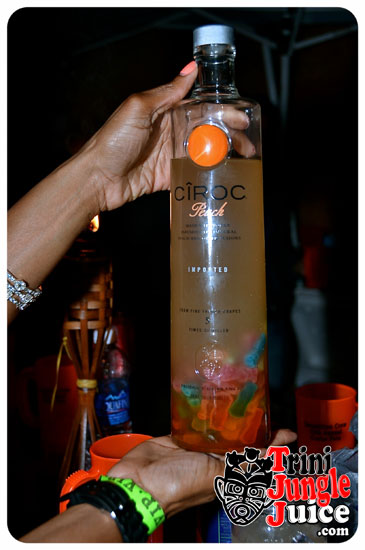 demolition_crew_cooler_fete_2014-006