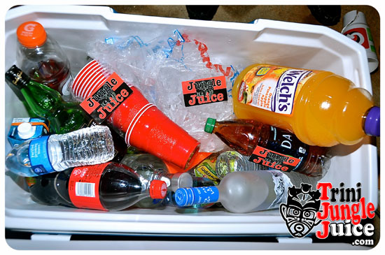 demolition_crew_cooler_fete_2014-062