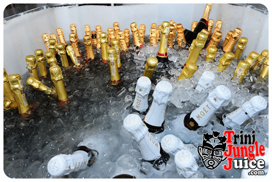 beach_house_bim_2014_pt1-023