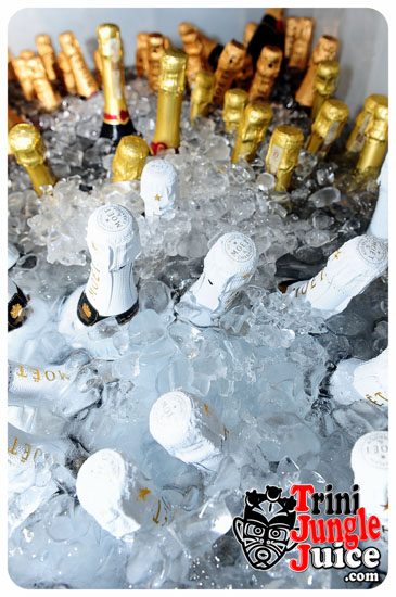 beach_house_bim_2014_pt1-024