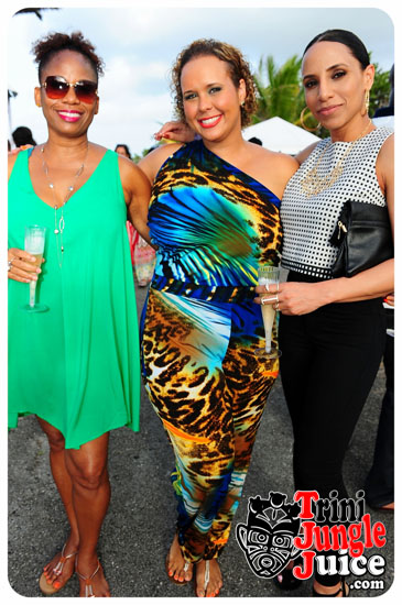 beach_house_bim_2014_pt1-027