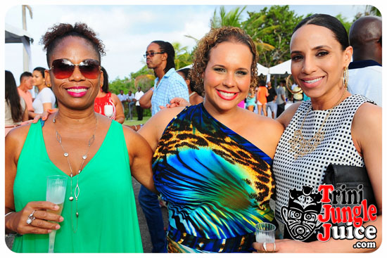 beach_house_bim_2014_pt1-028