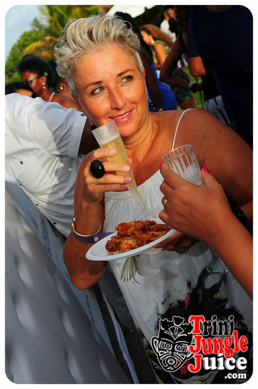 beach_house_bim_2014_pt1-052