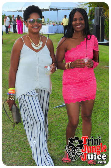 beach_house_bim_2014_pt1-054