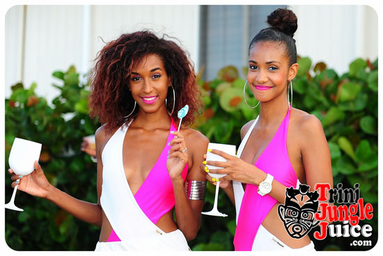 beach_house_bim_2014_pt1-081