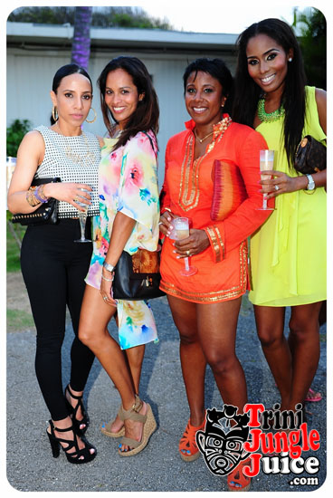 beach_house_bim_2014_pt1-118