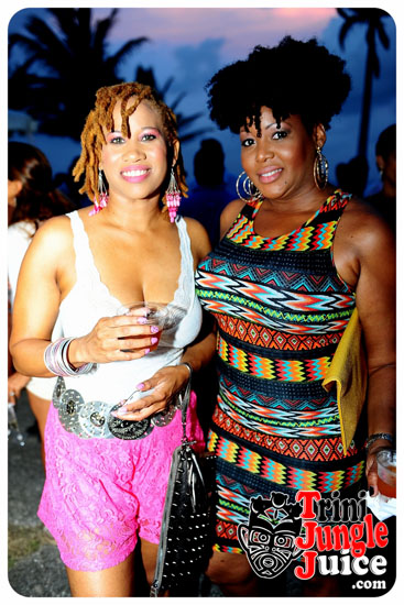 beach_house_bim_2014_pt1-136