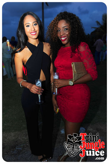 beach_house_bim_2014_pt1-140