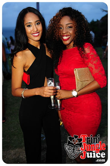 beach_house_bim_2014_pt1-141